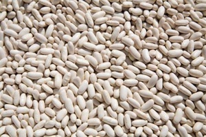 Lima White <b>Beans</b> Dried Natural Food Grade Common Cultivation Export Ready Custom Packaging For Sale - Product Image 6