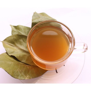 El mejor precio para pedidos a granel Hojas de Guanábana secas vietnamitas-Producto agrícola de alta calidad - Product Image 6