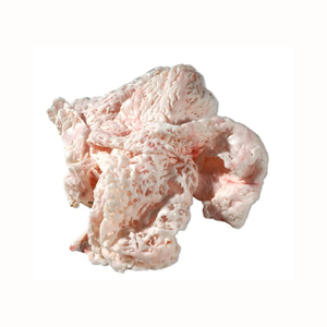 MEILLEURE QUALITÉ ORIGINE DE Porc CONGELÉ Disponible pour l'approvisionnement Qualité de porc avant congelé Graisse évasée de porc congelée bon marché Origine de meilleure qualité - Product Image 6
