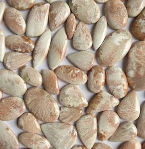 Cabujón de piedras preciosas sueltas de scolecita Rosa Natural de alta calidad, forma mixta para hacer joyas, piedra - Product Image 1