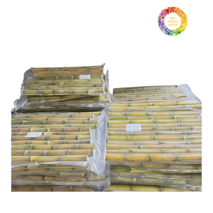 Prix de gros Prix à l'exportation Canne à sucre congelée du Vietnam Fabrication 100% Fruits sains biologiques - Product Image 4