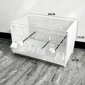 Spacieux 	 <span class=keywords><strong>Cage</strong></span> à oiseaux en plastique 	 <span class=keywords><strong>Cage</strong></span> légère pour oiseaux 	 Cages pour oiseaux 	   Chaise-<span class=keywords><strong>cage</strong></span> à oiseaux, <span class=keywords><strong>cage</strong></span> à perroquet 	 <span class=keywords><strong>Cage</strong></span> à oiseaux - Product Image 6