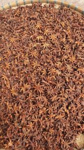 Anís Estrellado de Vietnam en Oferta, Anís Entero Seco Natural, Suministro de Fábrica, Exportación, Especias al por Mayor - Product Image 4