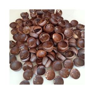 Cuencos de Coco de Alta Demanda Exportados para Proyectos de Manualidades y Utilizados como Bases Atractivas para Pequeñas Plantas en Maceta - Product Image 2