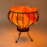 Lampe de sel de l'Himalaya Rosa artisanale 5 kg avec brasseur en métal 15 W, capacité ionisante 15 m², lumière blanc chaud, éclairage intérieur