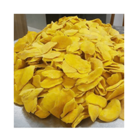 Exportfabriek Biedt Zacht Gedroogde Mango Droge Vruchten En Noten Voor Groothandel/Gezonde Mango Snacks