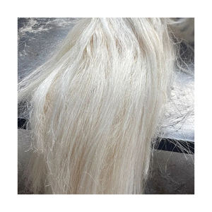 Venta al por mayor barato de calidad de fibra de sisal de cáñamo de sisal Natural UG grado fibra de sisal - Product Image 5