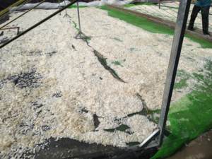 Venta al por mayor de escamas de pescado seco de Vietnam, material natural para el procesamiento de colágeno, oferta de precio barato - Product Image 2