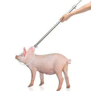 Meilleure vente personnalisable poignée en acier inoxydable Instrument d'insémination vétérinaire porte-cochon fabrication en gros porte-porcs - Product Image 3