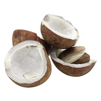 Coco Seco Entero a Granel / Coco Deshidratado / Bolas de Coco Copra