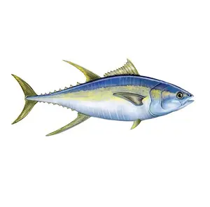 Thon albacore Rond entier/Thon HGT Poisson congelé Iqf Achat en gros