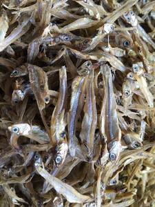 Anchoa seca naturalmente al sol con fuerte aroma y larga vida útil para los mercados de exportación - Product Image 4