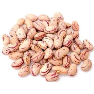 Alubias rojas al por mayor ligeras moteadas secas y nutritivas para alimentos - Product Image 3