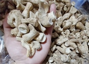 ก้านหอมออร์แกนิค/ฟังก์ชันสมอง/ฉลากสะอาด/จากพืช - Product Image 2