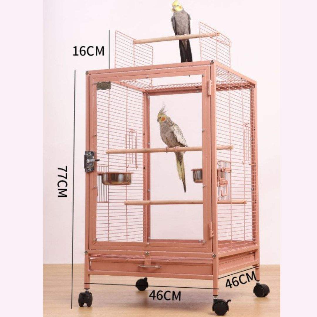 Pink (Front and back transparent) (required assemble)