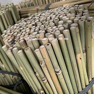 Eco2go Vietnam Venta al por mayor de bambú natural Estacas Bastones Jardín económico Soportes de Bambú - Product Image 5