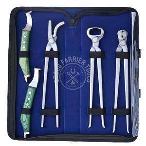 Juego Profesional para el Cuidado de Cascos Equinos, Cortaúñas para Cascos, Extractor de Clavos, Herramienta de Presión, Cuchillo Afilado de Mango Largo y Cuchillo con Extremo de Latón en Estuche - Product Image 1