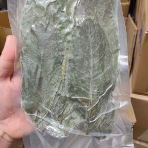 100% Hojas de Guanábana secas orgánicas naturales VIET NAM Venta caliente de VIET NAM con precio competitivo - Product Image 3