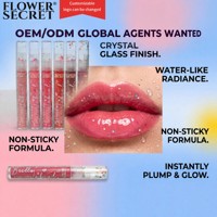 Gloss à lèvres hydratant Flower Secret Mirror Shine Dewy Shine Fine Shimmer 2ml 6.5g Modèle F140 Luxe Camouflage OEM/ODM disponible