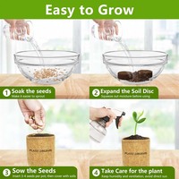 Kit d'arbre bonsaï, kit de démarrage de bonsaï avec graines et outils, plantes vivantes d'intérieur, cadeaux de jardinage pour femmes, hommes, maman, père
