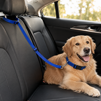 Corde de voiture en nylon solide réglable et durable pour chiens et chats