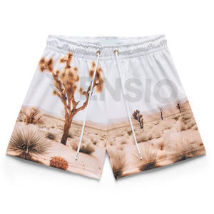 Short de sport personnalisé de haute qualité Short de basket-ball respirant vintage en maille sublimée pour homme et femme - Product Image 1