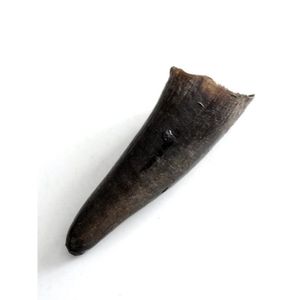 Cuerno de búfalo natural pulido, personalizado, artesanal, cuerno para beber, cuernos vikingos con color natural para ocasiones navideñas - Product Image 3