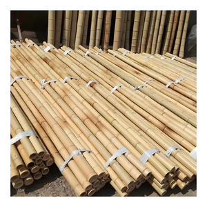 Varas de Bambú de Vietnam al por Mayor, Varas de Bambú Crudo de Alta Calidad, Varas de Bambú Grandes y Duraderas para Proyectos de Construcción - BP001 - Product Image 4