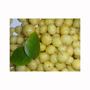 Poudre d'Amla de qualité supérieure, poudre de fruits séchés pour la production de compléments alimentaires, usage cosmétique et acheteurs mondiaux - Product Image 5