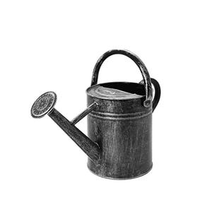 Jardins d'hôtel de luxe Accessoires d'entretien des plantes d'extérieur Bidon d'eau Canne d'arrosage galvanisée multifonctionnelle Utilisation des restaurants - Product Image 1