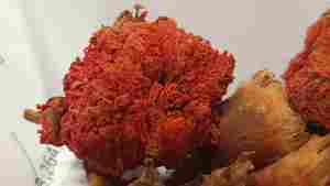 2026 Natural Pomegranate Dry <b>Flowers</b> Reasonable Price Dry <b>Flowers</b> High Quality 100% Mature Wholesale Storage Type Cool Place - Product Image 4