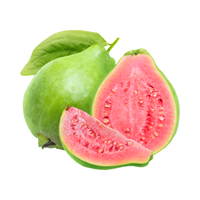 Verse Guave Fruit Biologisch 100% Natuurlijk Grote Maat Heldergroene Schil 0,20-0,25kg 24 Dagen Houdbaarheid Leverancier Beschikbaar