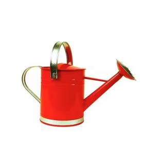 Arrosoir en métal galvanisé fait main durable Poignée confortable Revêtement résistant à la rouille Grand bec Finition de capacité personnalisable - Product Image 2