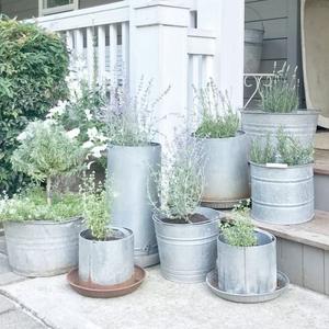 Forme de jardinière en fer galvanisé classique écologique personnalisable pour une utilisation quotidienne de longue durée pour le jardinage intérieur - Product Image 2