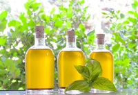 Huile essentielle de basilic de qualité supérieure |   Arôme Naturel Pur |   Qualité cosmétique |   Fournisseur en gros