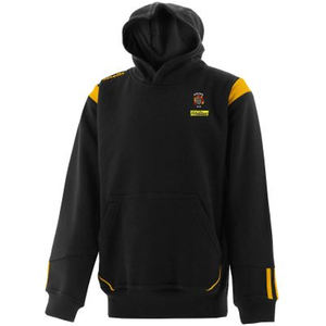 Sweat à capuche d'hiver de qualité professionnelle, fabriqué en tissu 100% coton doux, coutures robustes, imperméable, coupe moderne, pour les sports décontractés, promotionnel - Product Image 3