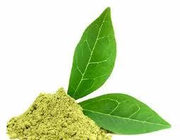 Cao cấp gudmar bột Gymnema sylvestre 100% khỏe mạnh tiêu hóa hỗ trợ chức năng insulin khuyến mãi Đường Cảm giác thèm ăn trống chai G3 - Product Image 2