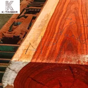 Legno naturale tronchi di legno materie prime africano di quercia legno Takula segati/tronchi rotondi all'ingrosso Angola costruzione pavimentazione edificio