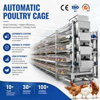 Nouveau système de cages à batterie multi-niveaux de type H en acier inoxydable et acier galvanisé pour l'élevage avicole intensif, facile à utiliser