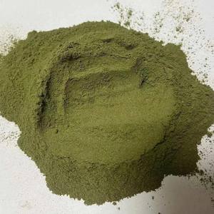 POLVO DE HOJA DE PERILLA AL POR MAYOR CALIDAD PREMIUM SUMINISTRO A GRANEL OFERTA CALIENTE TOP VENTAS PRODUCTO DE EXPORTACIÓN DE POLVO DE HIERBAS NATURALES - Product Image 5