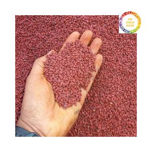 Graines d'annatto directement de la ferme 99 GD Vietnam Prix FOB Qualité d'exportation supérieure Épice en vrac - Product Image 6