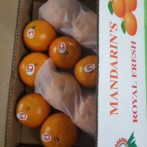 Venta de naranjas grandes, dulces y frescas, Navel, Valencia y mandarín