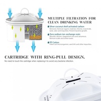Filtre à eau manuel en argent avec média échangeur d'ions au charbon pour voiture, maison et extérieur - Élimine le chlore et les métaux lourds - Capacité 2L