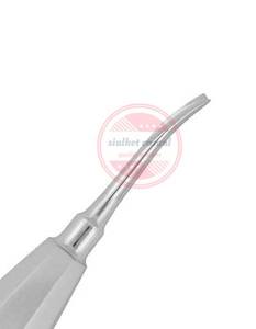 Elevadores de raíces de extracción Instrumentos dentales de acero inoxidable - Product Image 2