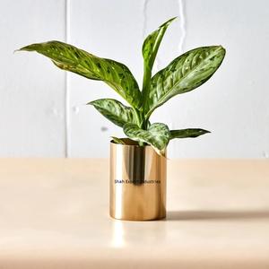 Florero de Metal con acabado Gris, forma de cilindro, aspecto real para el hogar, sala de estar, vajilla, decoración, jarrones florales - Product Image 5