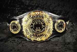 Ceintures de championnat personnalisées Trophées Médailles et récompenses Le symbole ultime de la victoire et de l'excellence Ceintures de championnat - Product Image 4