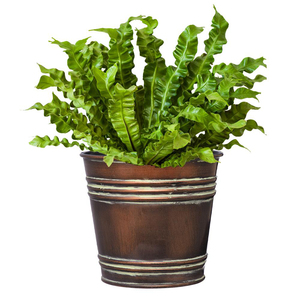 Cubo de maceta con acabado antiguo de cobre y Metal de decoración de alta calidad para florero decorado a la venta decoración del jardín del hogar - Product Image 2