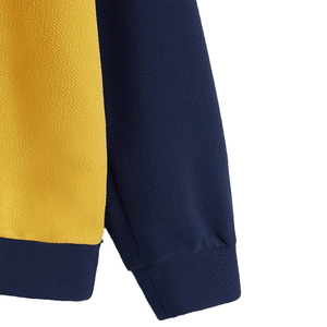 Sweat-shirt à capuche en molleton pour homme, hiver, blocs de couleur, brodé, épaules tombantes, manches longues, grande taille - Product Image 2