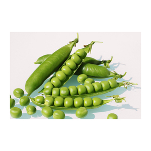 Life Worth Losing Flavor Quinoa Seeds Pea Seeds <b>Isolate</b> Plant Based Vegan Seeds - Product Image 1