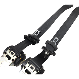 Cinghie Posteriori Lancia Ypsilon 4a Serie 735577180 (11>23) - Product Image 6